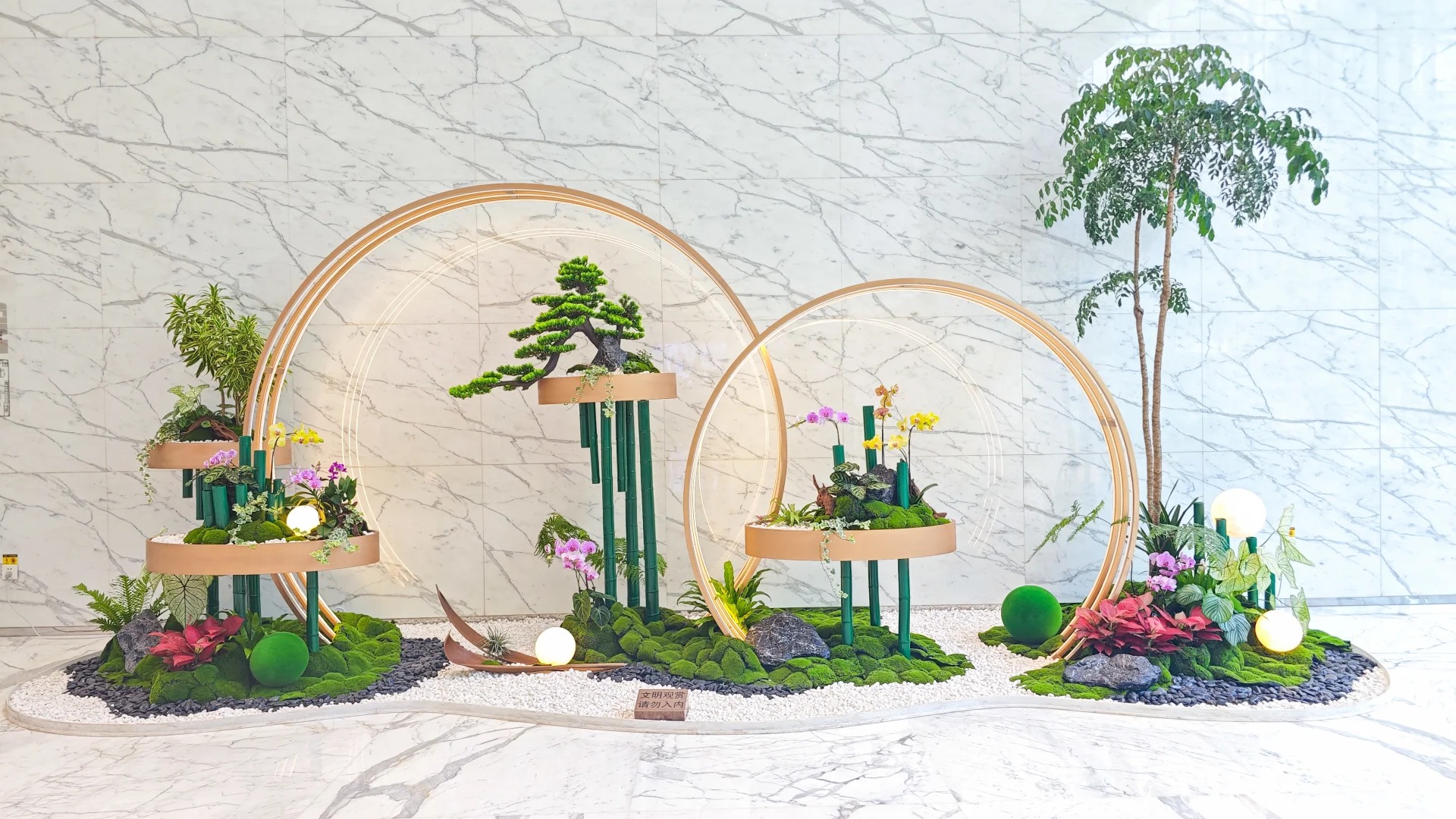 余姚专业花木租赁，花卉绿植装点美好生活