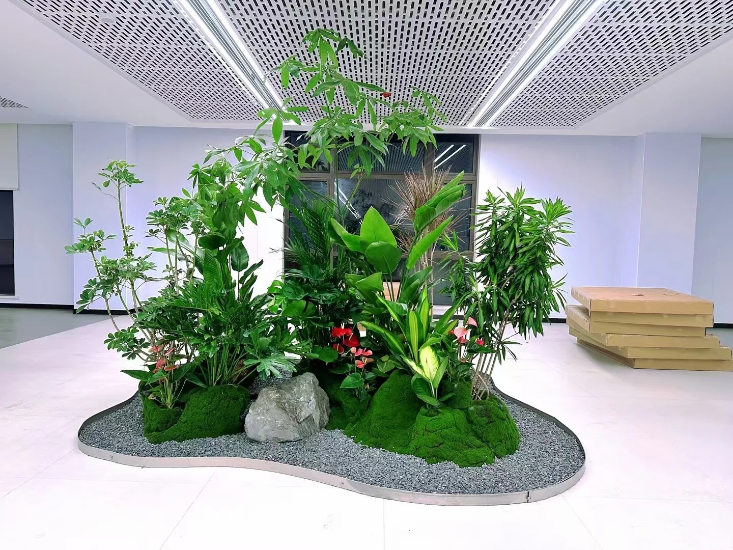 余姚植物租摆哪家好?专业推荐,让绿植焕发生机